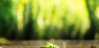 Jak znaleźć cel zawodowy?