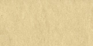 Jak wpisać certyfikat do CV?