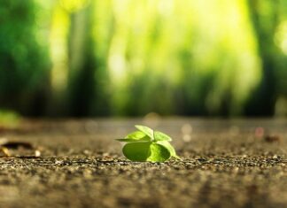 Jak znaleźć sens w życiu?