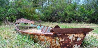 Jak dobrze dysponować czasem?