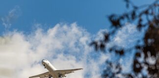 Czy NFZ może być właścicielem zakładów opieki zdrowotnej?