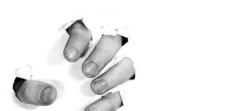 Co wchodzi w skład sektora publicznego?