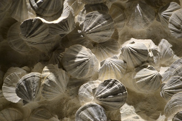 Jak zostać coachem ICF? Jak zostać coachem ICF?