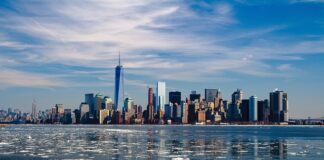 Co nowego w nowym roku?