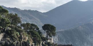 Ile kosztuje strona w gazecie?