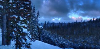 Czy sam licencjat coś daje?