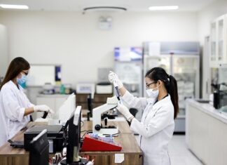 Jak przebiega procedura budżetowa?