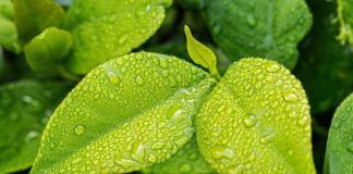 Jak być eko na co dzień?