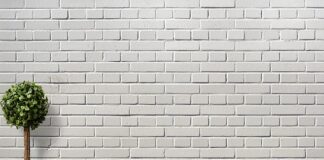 Czy zakład budżetowy może zawierać umowy?