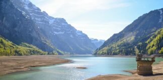 Co wpisać w tytule przelewu za wynajem mieszkania?