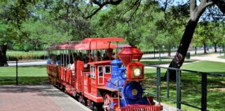 Co dziedziczy się po matce?