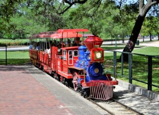 Co dziedziczy się po matce? Co dziedziczy się po matce?