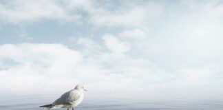 Jak uspokoić krzyczące dziecko?