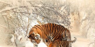 Czy warto iść na mat fiz?