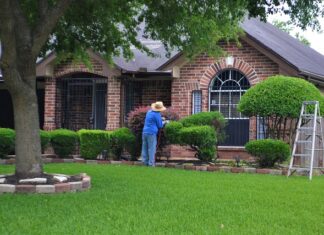 Ile można dorobić na samozatrudnieniu?