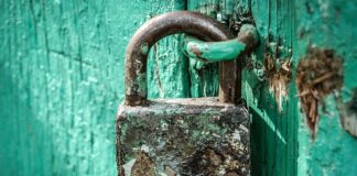 Jak zapewnić sobie bezpieczeństwo w sieci?