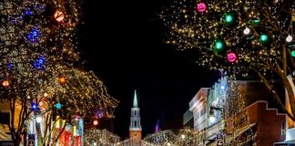 Na jaki okres uchwalana jest ustawa budżetowa?