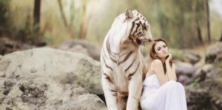 W jakim czasie należy zgłosić naruszenie ochrony danych osobowych?