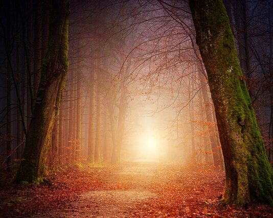 Czy wynajmujący musi pokazać rachunki? Czy wynajmujący musi pokazać rachunki?