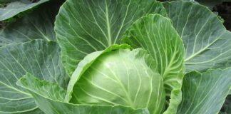 Co może być powodem utraty danych?