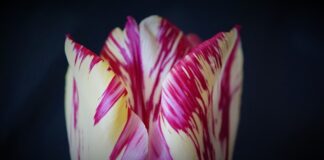 Jak zapobiec wypadkom w domu?