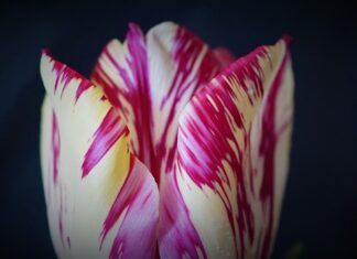 Jak zapobiec wypadkom w domu?