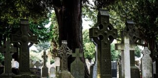 Co zamiast MS Project?