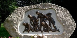 Kto jest chroniony przed eksmisja?