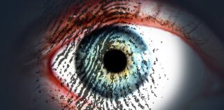 Jak chronić komputer przed zagrożeniami z sieci?