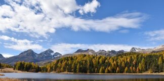 Jak potwierdzić staż pracy za granicą?