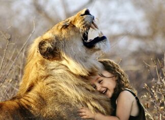 Jaka jest najlepsza umowa najmu mieszkania?