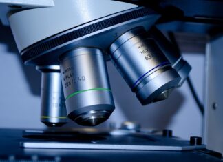 Co się robi na studiach zarządzanie?