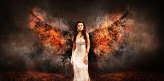 Jak rozprzestrzenia się ogień?