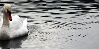 Dlaczego jestem dumny z pracy w mojej firmie?