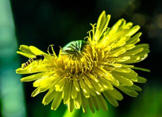 Czy najem okazjonalny coś daje? Czy najem okazjonalny coś daje?