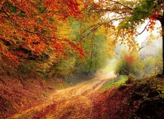 Czym skutkuje spadek PKB? Czym skutkuje spadek PKB?