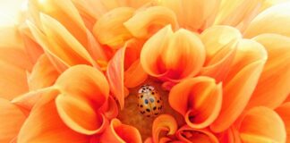 Kiedy zespól jest efektywny?